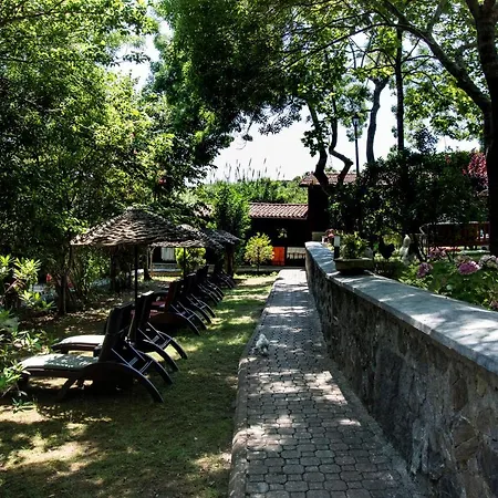 Fener
