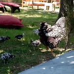Мотель Fener 3*