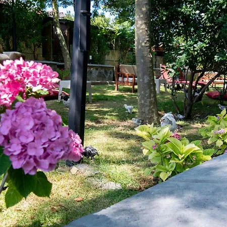 Motel Fener 3*